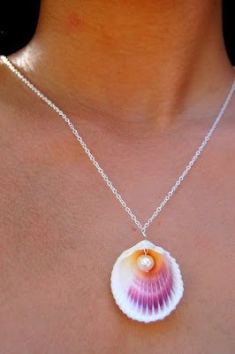 Como fazer artesanato com conchas: 50 ideias para você se inspirar!