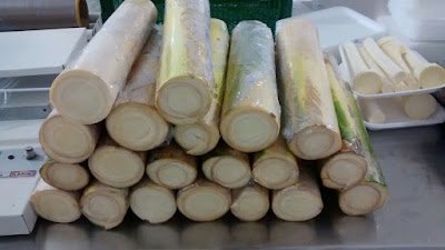 Benefícios do palmito para sua saúde