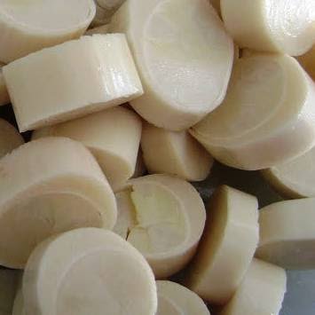 Benefícios do palmito para sua saúde