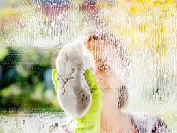 26 MANEIRAS DE USAR O VINAGRE EM SUA SUA CASA