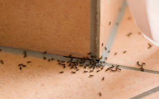 20 Maneiras de Utilizar Vaselina