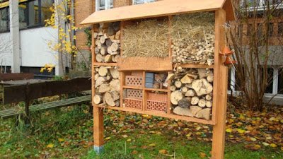 Aprenda a fazer um hotel para insetos