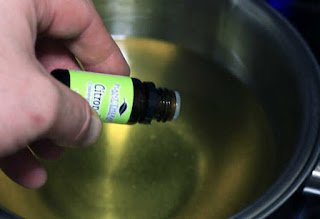 Aedes aegypti:  11 dicas de repelente caseiro 