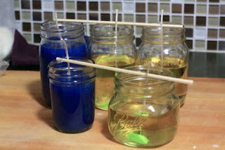 Aedes aegypti:  11 dicas de repelente caseiro 