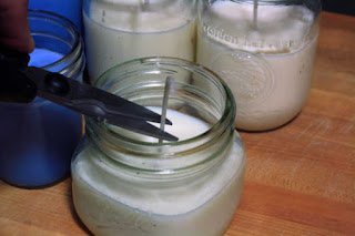 Aedes aegypti:  11 dicas de repelente caseiro 