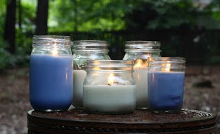 Aedes aegypti:  11 dicas de repelente caseiro 