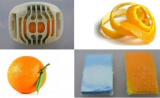 Aedes aegypti:  11 dicas de repelente caseiro 