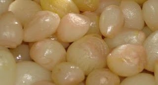 O poder da cura da cebola no vinagre! Receita de médicos japoneses!