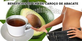 Benefícios do chá de caroço de abacate para a saúde
