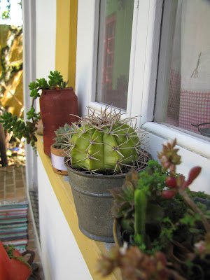 Um lugar que pode abrigar um lindo jardim sem ocupar espaço é a janela. Mas como acertar na montagem e na escolha das espécies?