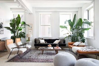 Como utilizar plantas na decoração de interiores