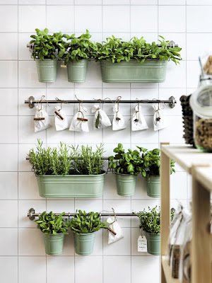 Como utilizar plantas na decoração de interiores