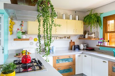 Como utilizar plantas na decoração de interiores