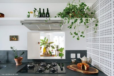 Como utilizar plantas na decoração de interiores