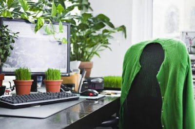 Como utilizar plantas na decoração de interiores