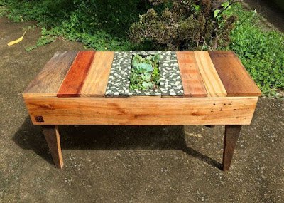 Decoração de suculentas em mesas