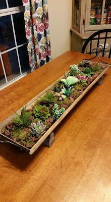 Decoração de suculentas em mesas