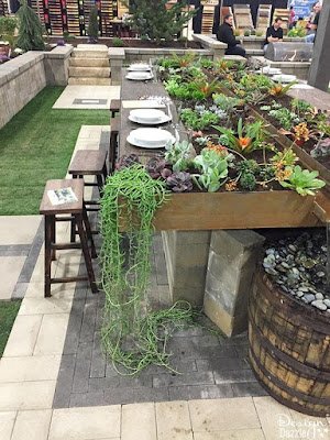 Decoração de suculentas em mesas