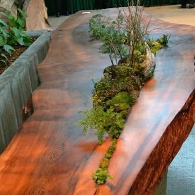 Decoração de suculentas em mesas