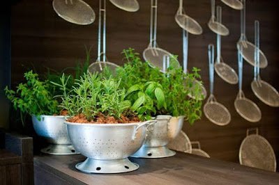 Mais de 20 ideias simples para jardins pequenos e cantinhos sem uso