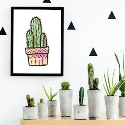 Cactos na decoração: mais de 50 fotos para te inspirar 