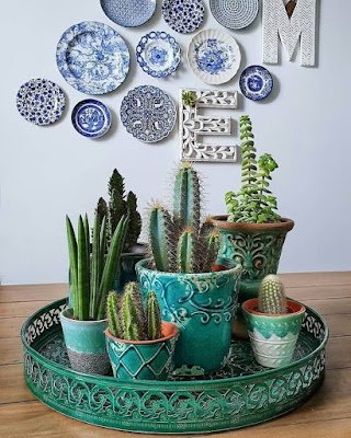 Cactos na decoração: mais de 50 fotos para te inspirar 