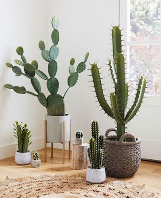 Cactos na decoração: mais de 50 fotos para te inspirar 