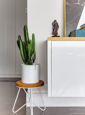 Cactos na decoração: mais de 50 fotos para te inspirar 