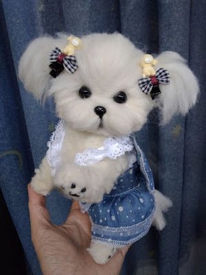 Cachorros fofos: seleção de 40 imagens que vão derreter seu coração