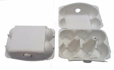 Como fazer sementeira com caixa de ovos