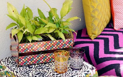 Plantas que fizeram sucesso no passado voltam a ocupar espaço na decoração 