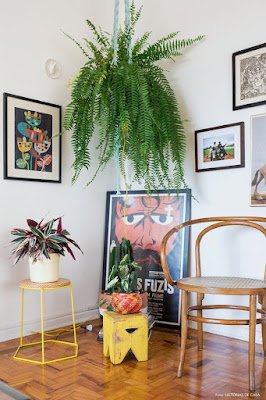 Plantas que fizeram sucesso no passado voltam a ocupar espaço na decoração 