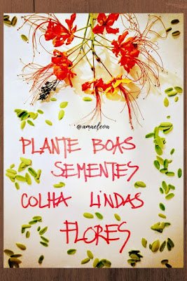 28 ideias de frases para compor seu jardim