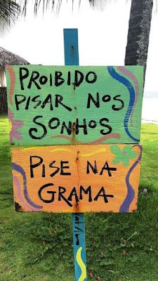 28 ideias de frases para compor seu jardim