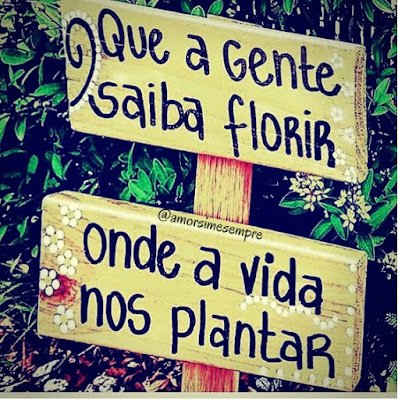 28 ideias de frases para compor seu jardim