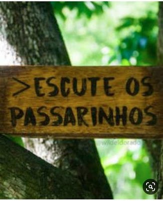 28 ideias de frases para compor seu jardim