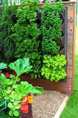 Como ter horta em espaços pequenos