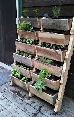 Como ter horta em espaços pequenos