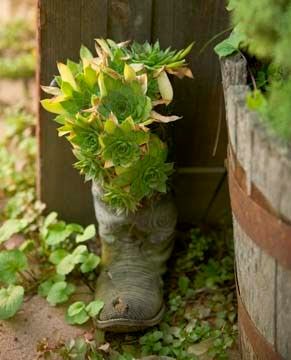 Como usar calçados como vasos de flores