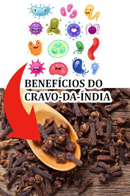 como usar o cravo-da-índia