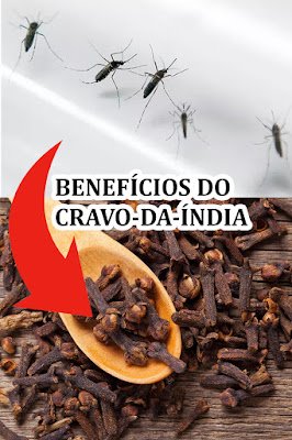 como usar o cravo-da-índia
