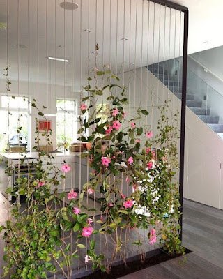 41 ideias para dividir ambientes integrados