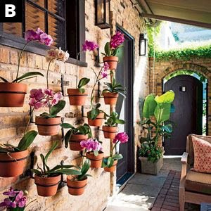 ideias para cultivar orquídeas