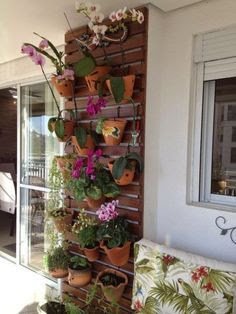 ideias para cultivar orquídeas