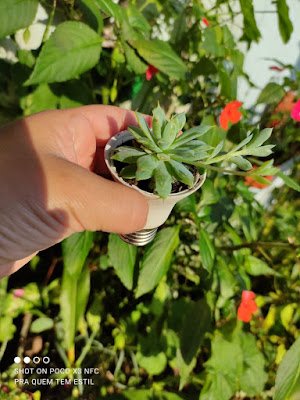 como reutilizar lâmpada led