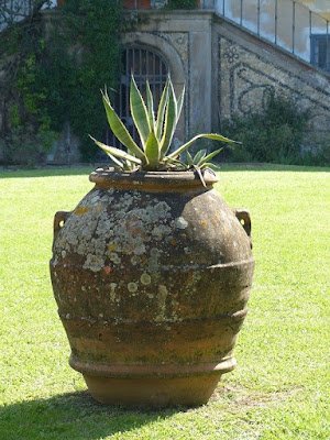 para que serve uma ânfora