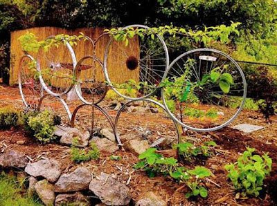 Até com aros velhos de bicicleta dá para criar uma decoração criativa no jardim