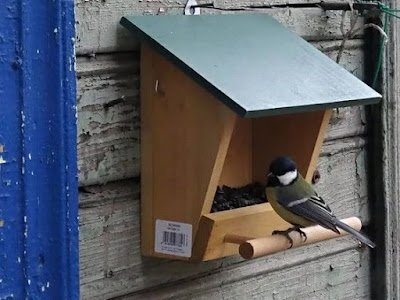 Ter um comedouro para pássaros em seu jardim é uma ótima alternativa para começar uma vida sustentável e ecologicamente correta.