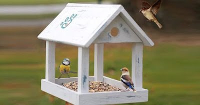 Ter um comedouro para pássaros em seu jardim é uma ótima alternativa para começar uma vida sustentável e ecologicamente correta.