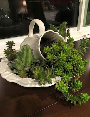 Esses jardinzinhos são ideais para quem não tem muito espaço ou tempo para cultivar plantas pois cabe em qualquer cantinho e demanda poucos cuidados